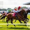 如何運用數據分析提升賽馬勝算